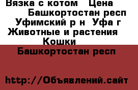 Вязка с котом › Цена ­ 1 000 - Башкортостан респ., Уфимский р-н, Уфа г. Животные и растения » Кошки   . Башкортостан респ.